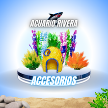 Accesorios