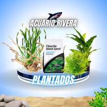 Plantas y mucho mas..