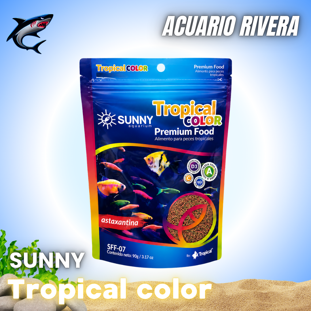 SUNNY Tropical Color