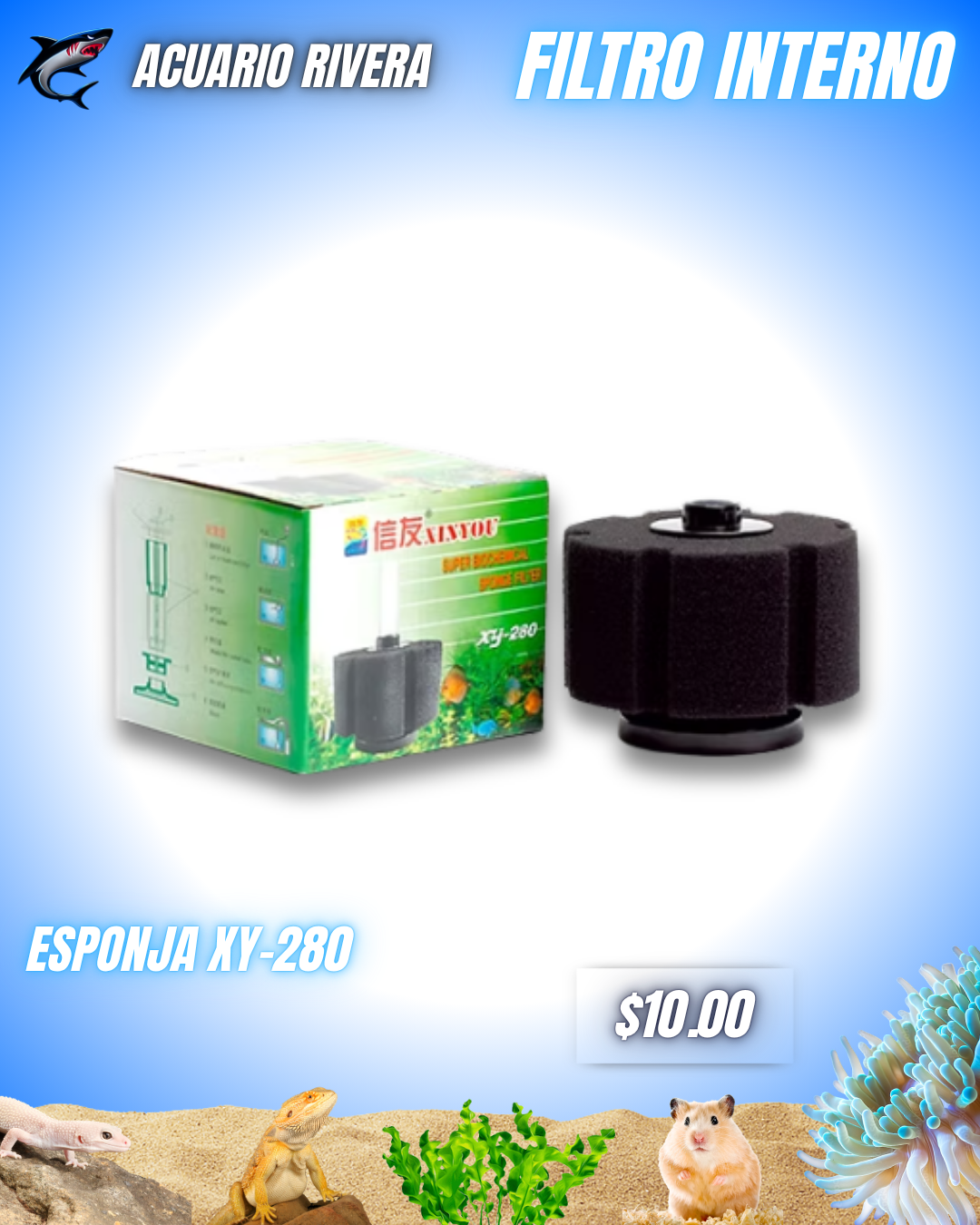Esponja Xy-280