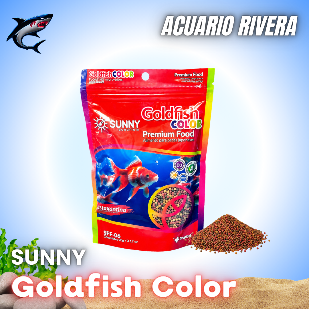 Sunny Goldfish Color Premium