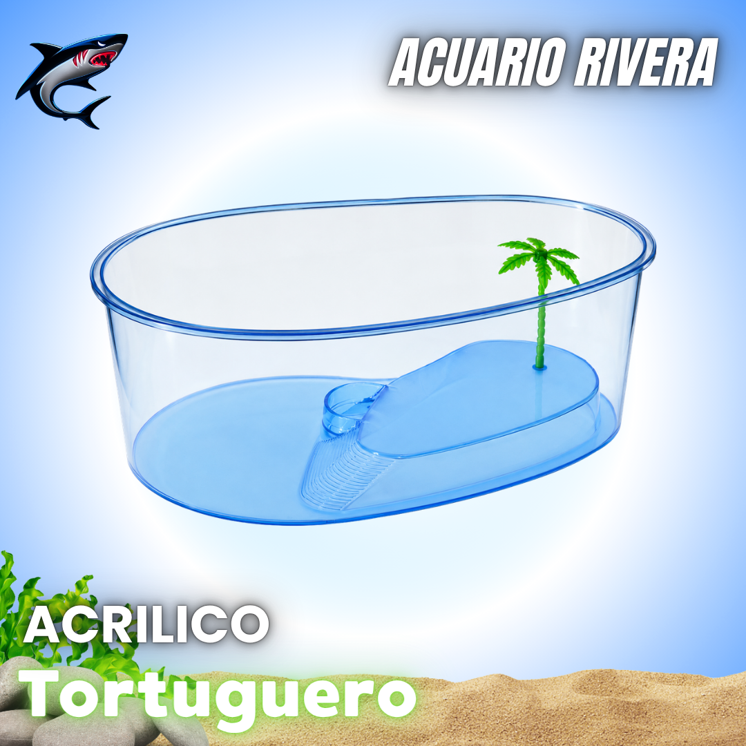 Pecera para tortugas