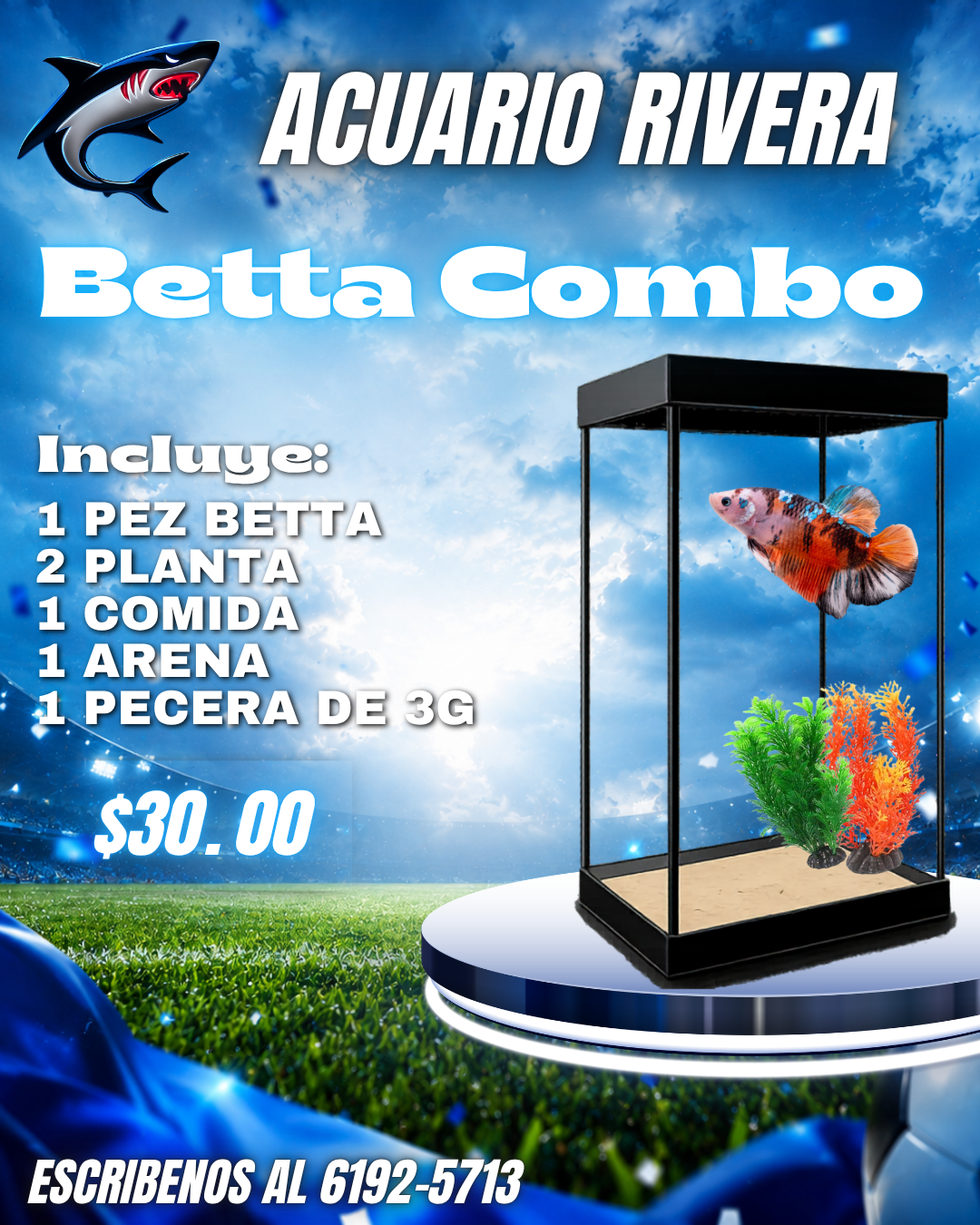 Combo del Betta