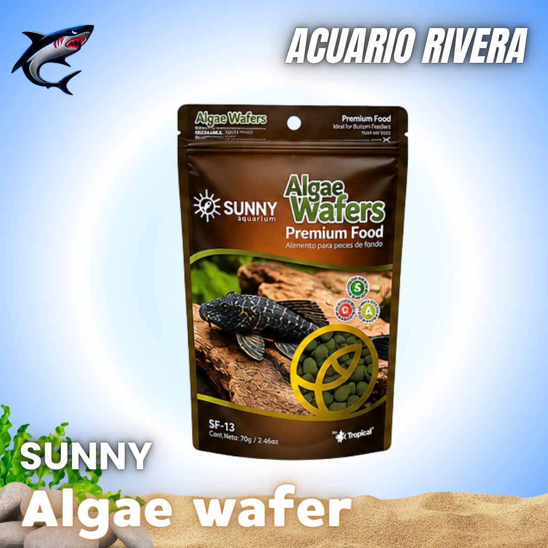 Sunny Algae Wafer