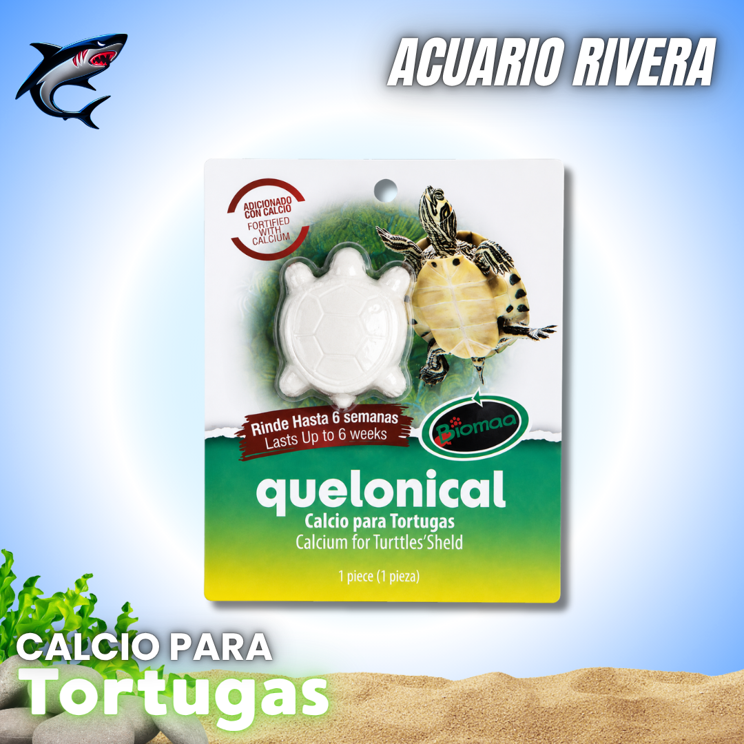 Calcio para Tortugas