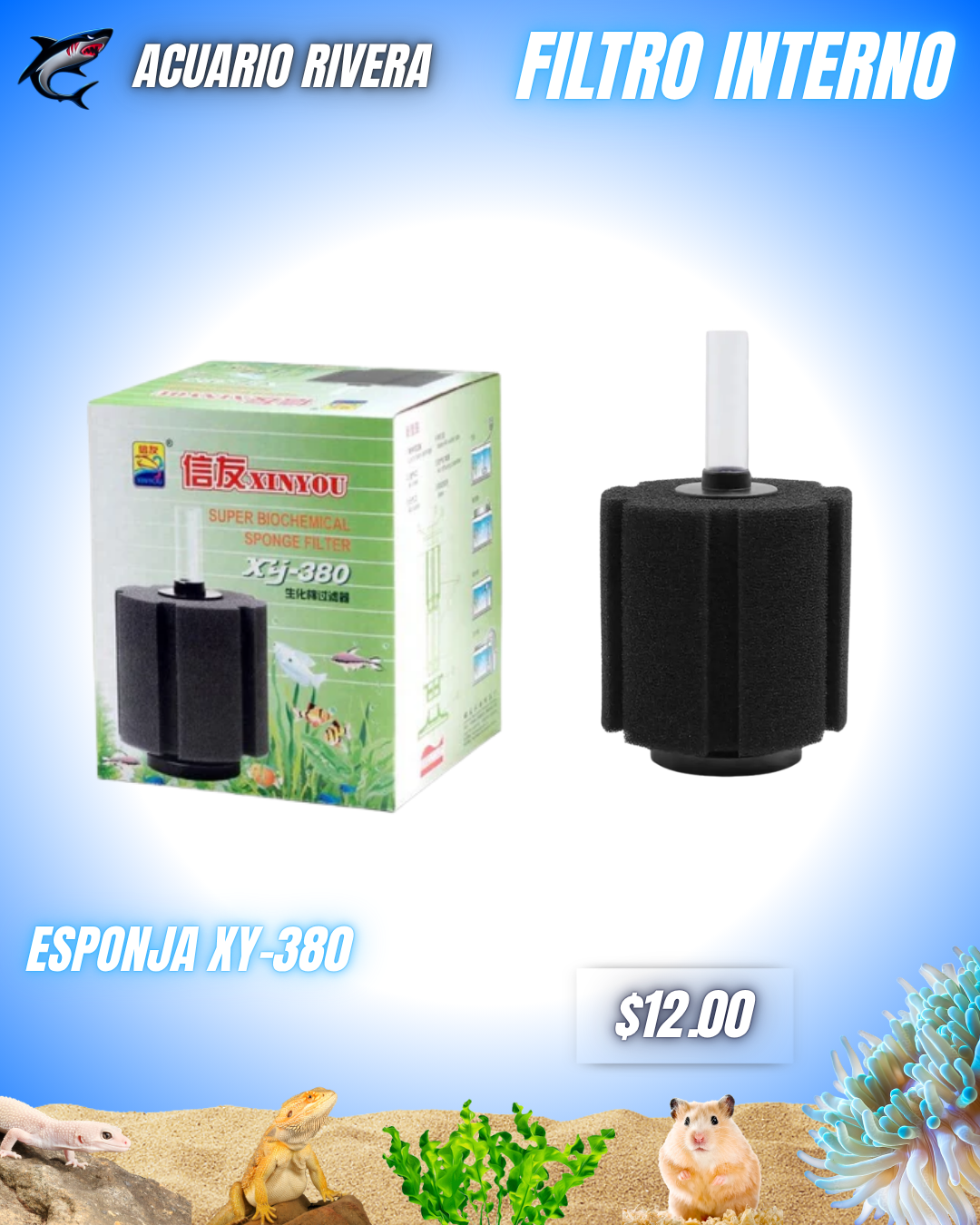 Esponja Xy-380