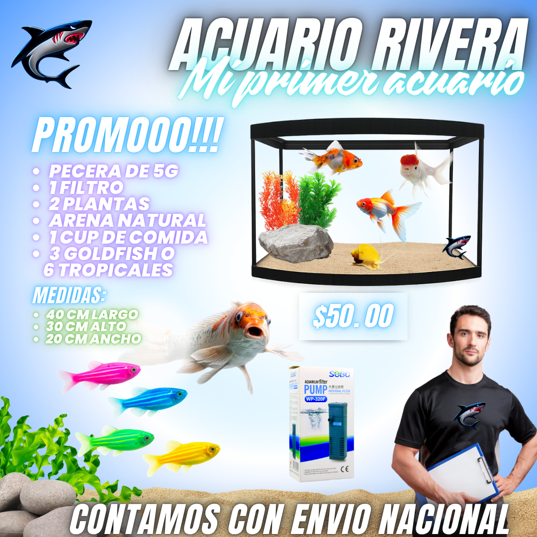 Combo pecera de 5G