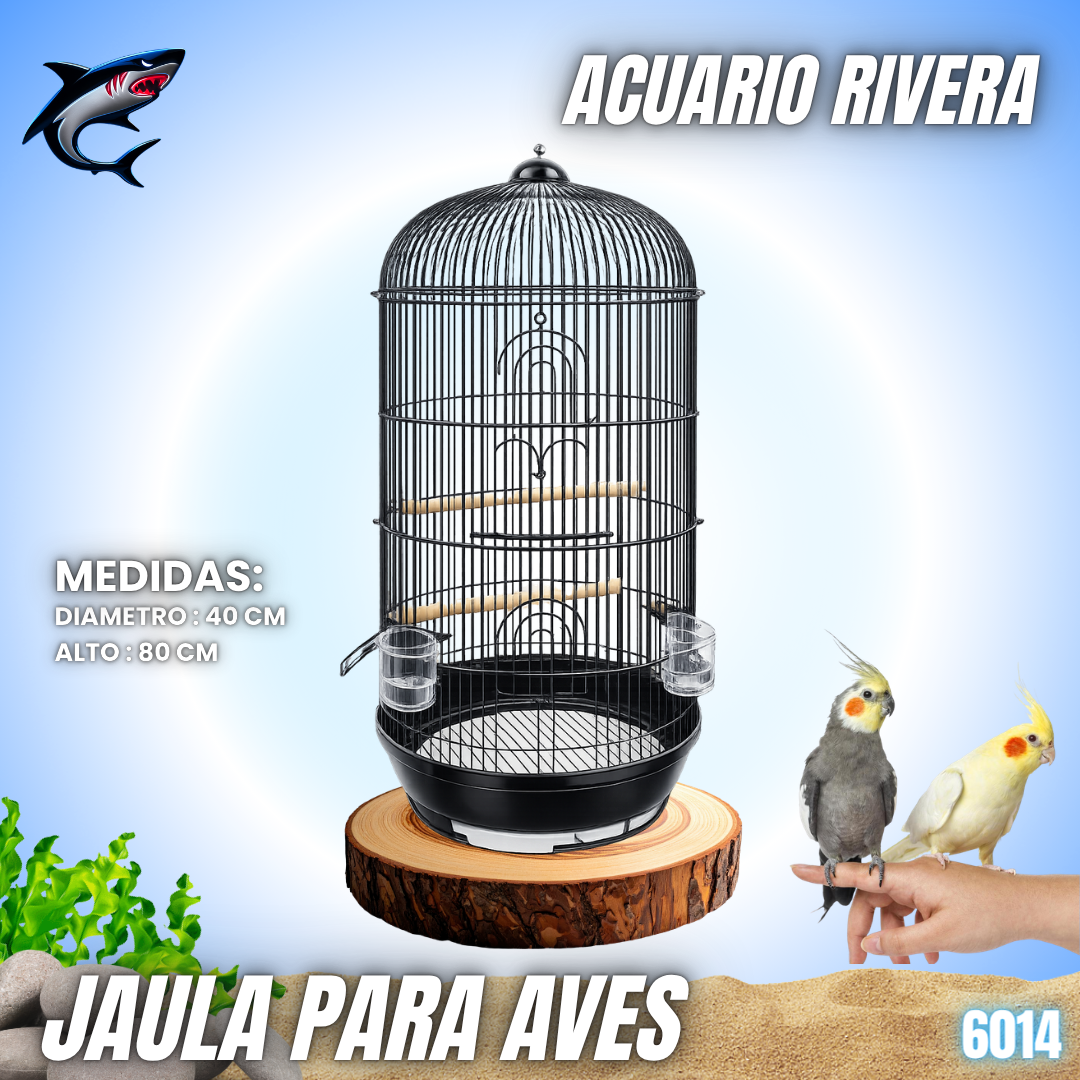 Jaula alta para Aves