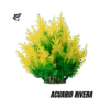 Arbusto