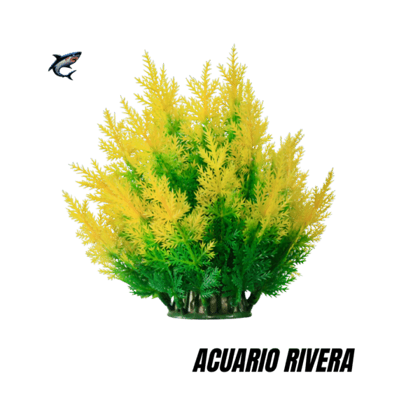 Arbusto