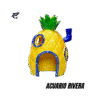 Casa de Bob esponja Grande
