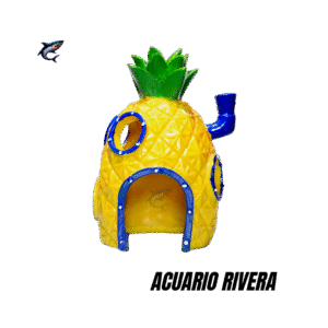 Casa de Bob esponja Grande